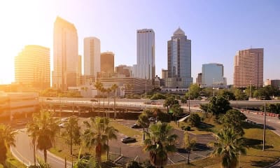 Accounting Schools in Florida