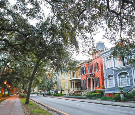 A residential street in downtown Savannah, Georgia